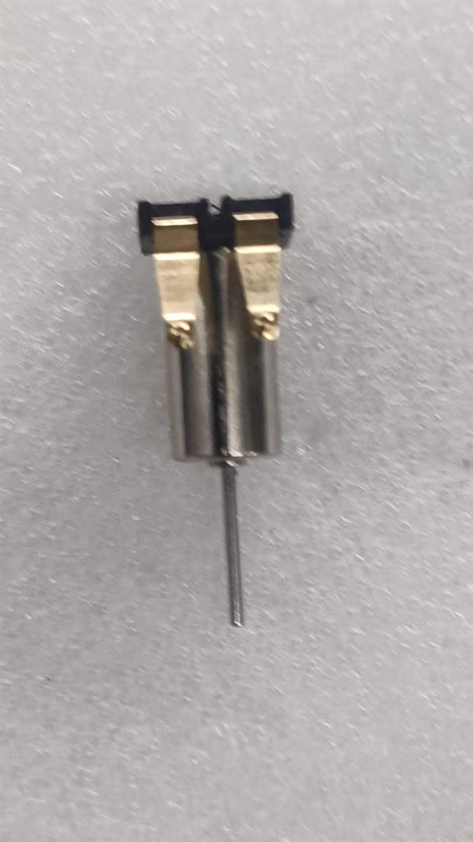 Micro motor with terminal adjustment sample